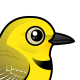Yellow Chat