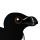 Razorbill