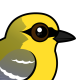 Blue-winged Warbler
