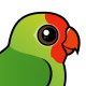 Red-headed Lovebird
