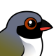 Swee Waxbill