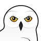 Snowy Owl