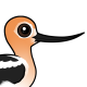 American Avocet