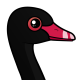 Black Swan