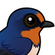 Barn Swallow