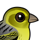 Atlantic Canary