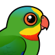 Superb Parrot