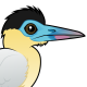 Capped Heron