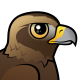 Golden Eagle