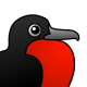 Magnificent Frigatebird
