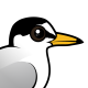 Little Tern