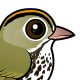Ovenbird