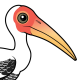 Painted Stork