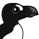 Great Auk