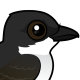 Eastern Kingbird