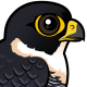Bat Falcon