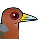 Rufous-necked Wood-Rail