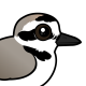 Snowy Plover