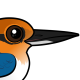 Guam Kingfisher