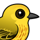 Yellow Warbler
