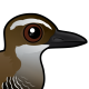 Guam Rail