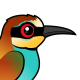 European Bee-eater
