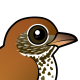Wood Thrush