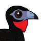White-winged Guan