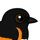 American Redstart