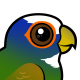 White-crowned Parrot