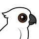 Umbrella Cockatoo
