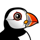 Atlantic Puffin