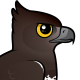 Martial Eagle