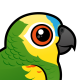 Blue-fronted Parrot