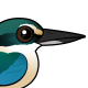 Sacred Kingfisher