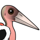 Marabou Stork