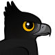 Black Hawk-Eagle