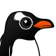 Gentoo Penguin