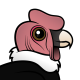 Andean Condor