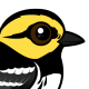 Golden-cheeked Warbler