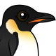 Emperor Penguin