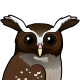 Crested Owl