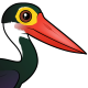 Storm's Stork