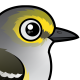 White-eyed Vireo