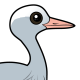 Blue Crane