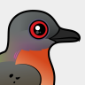 Birdorable Passenger Pigeon