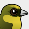 Birdorable Akekee