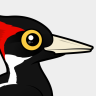Birdorable Ivory-billed Woodpecker