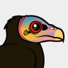 Birdorable Lesser Yellow-headed Vulture