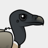 Birdorable Slender-billed Vulture